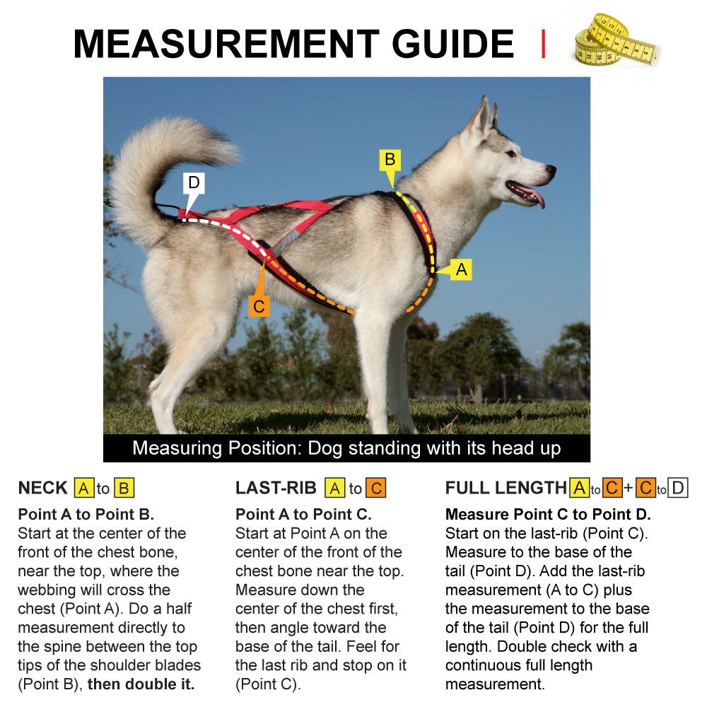 Basic dog harness best sale