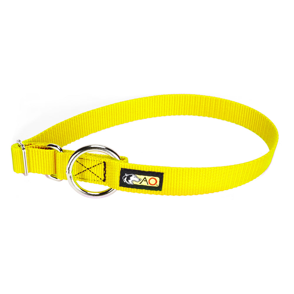 20x1 inch D-Ring Collar (Also can be used as Replacement Collars