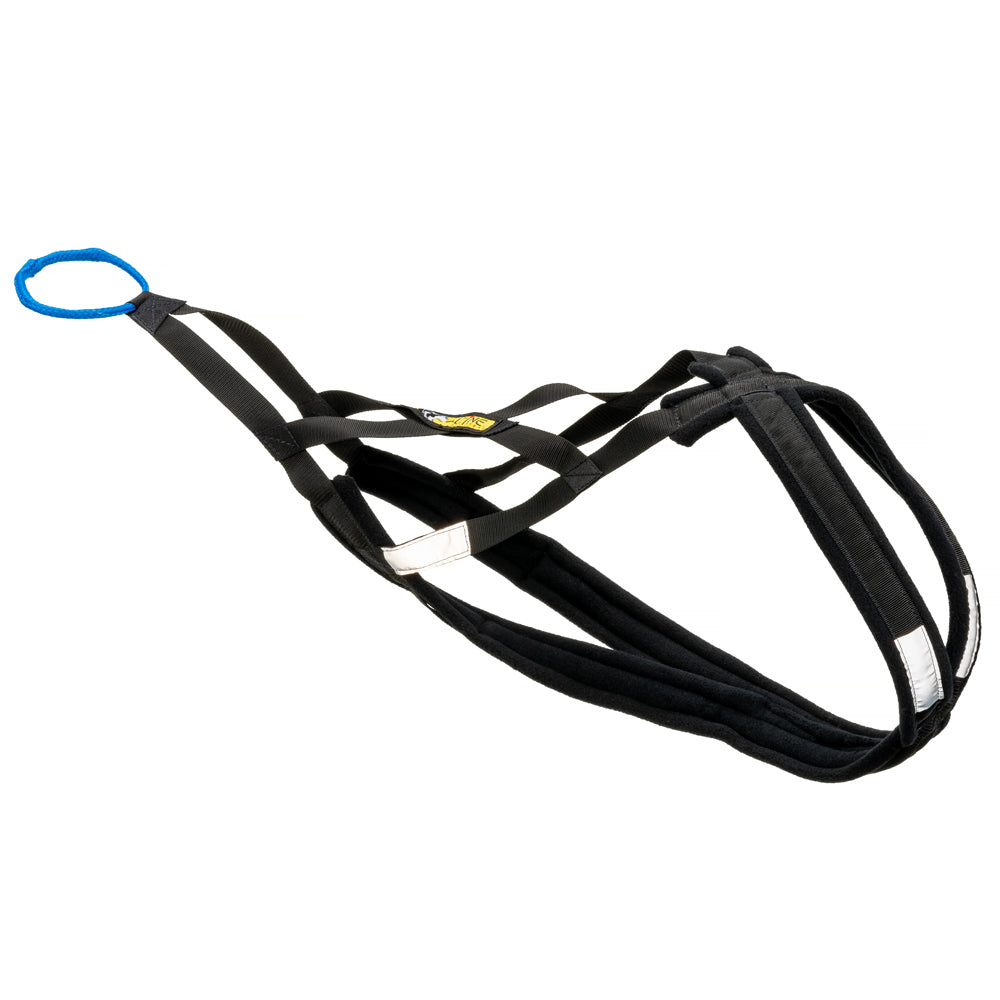 http://www.alpineoutfitters.net/cdn/shop/products/X-back-ready-to-go-2_1200x1200.jpg?v=1618986626