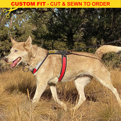 Urban Trail® Adjustable Harness (Half-Back/Shorty) - CUSTOM FIT - Cut & Sewn to Order, Made in the USA