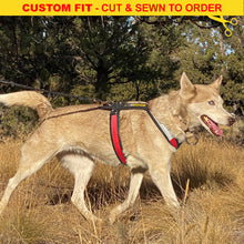 Load image into Gallery viewer, Urban Trail® Adjustable Harness (Half-Back/Shorty) - CUSTOM FIT - Cut &amp; Sewn to Order