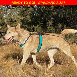 Urban Trail® Adjustable Harness, Ready-To-Go Sizes!