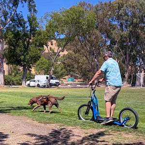 Sprocket Legend Scooter