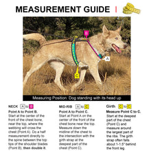 Load image into Gallery viewer, Urban Trail® Adjustable Harness, Ready-To-Go Sizes!