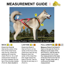 Load image into Gallery viewer, Ready-To-Go!  X-Back Harness - Standard Sizes