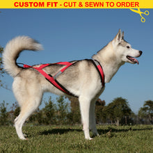 Load image into Gallery viewer, X-Back Harness - CUSTOM FIT - Cut &amp; Sewn to Order