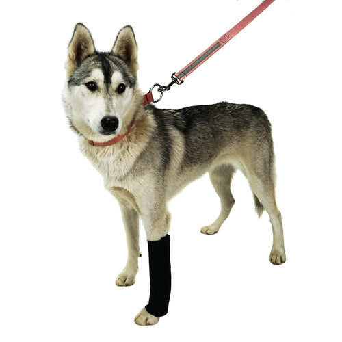 AO Canine Carpal Wraps