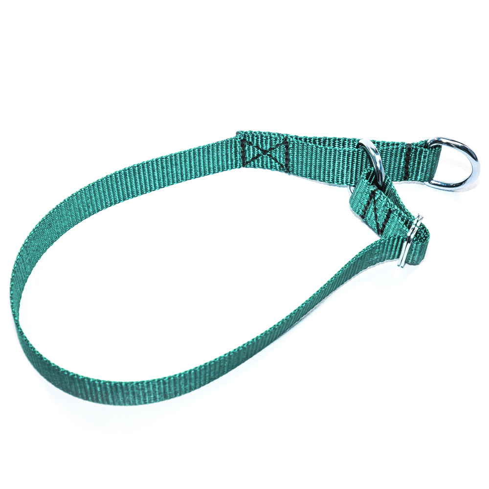 20x1 inch D-Ring Collar (Also can be used as Replacement Collars For G –  Carolina Sportsman Outfitters, 0% Financing & No Credit Needed