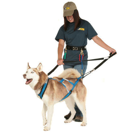 Command Training Leash - Made in the USA!