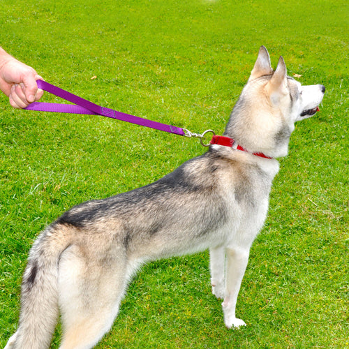 22 Inch Leader Leash - Made in the USA!