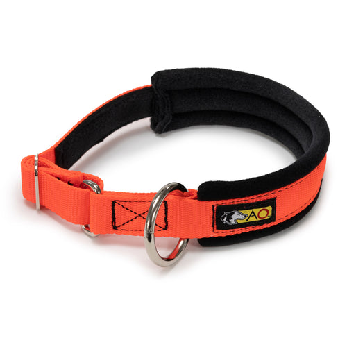 Padded Full Circle Collar, Large O-Ring - Made in the USA!