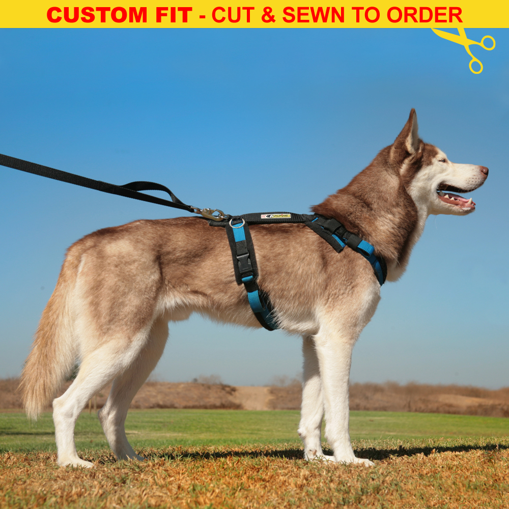 Urban Trail® Adjustable Harness (Half-Back/Shorty) - CUSTOM FIT - Cut –  Alpine Outfitters
