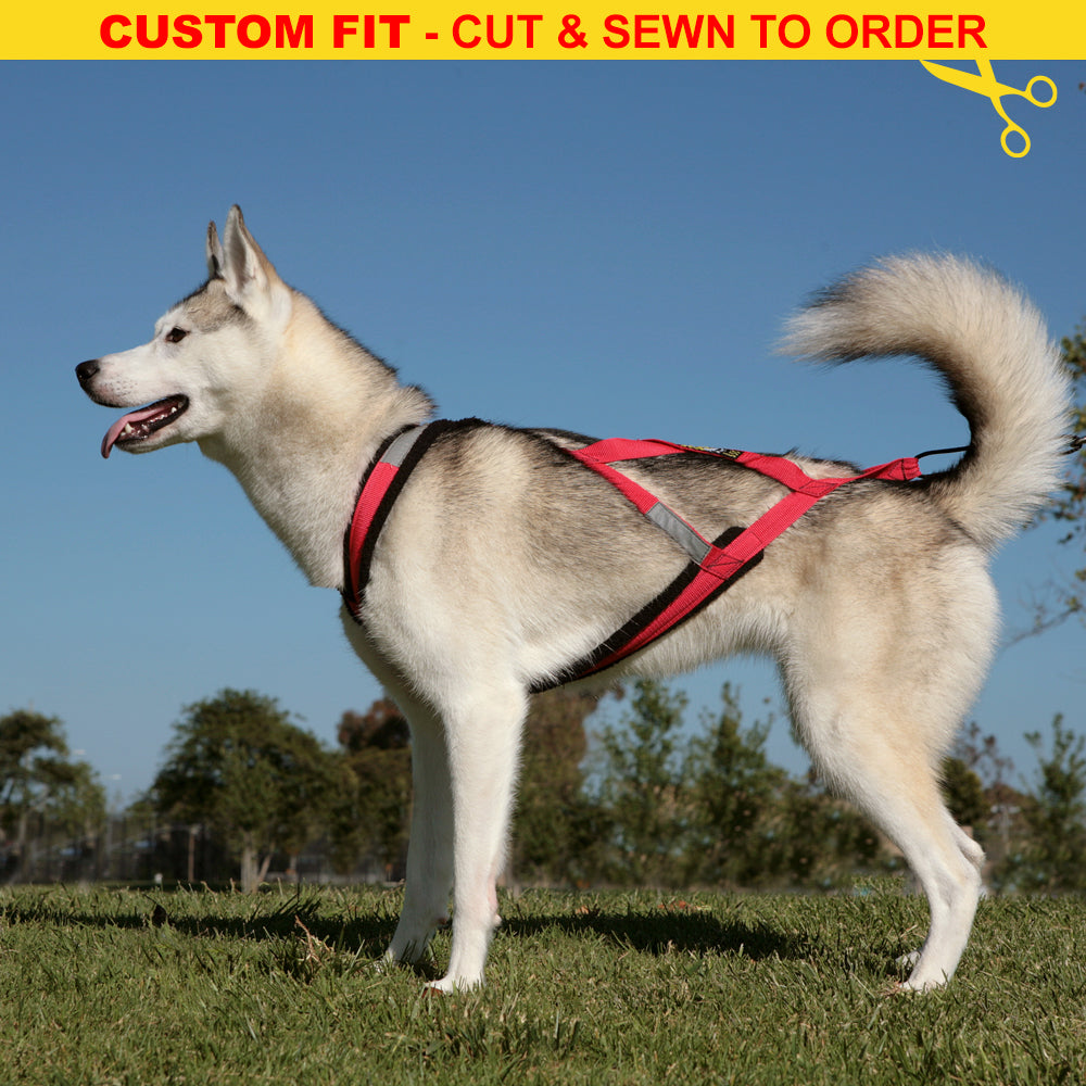 Reflective Belt for Coat Dog Walker Gift. Dog Walking Belt. 