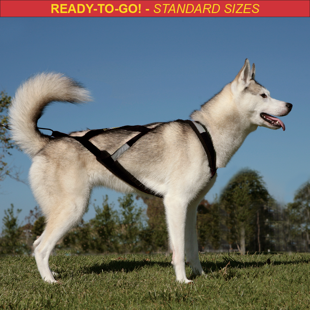 Reflective Dog Sledding Harness Pet Weight Pulling Sled Harness Durable  Harness for Medium Large Dogs Scootering Skijoring